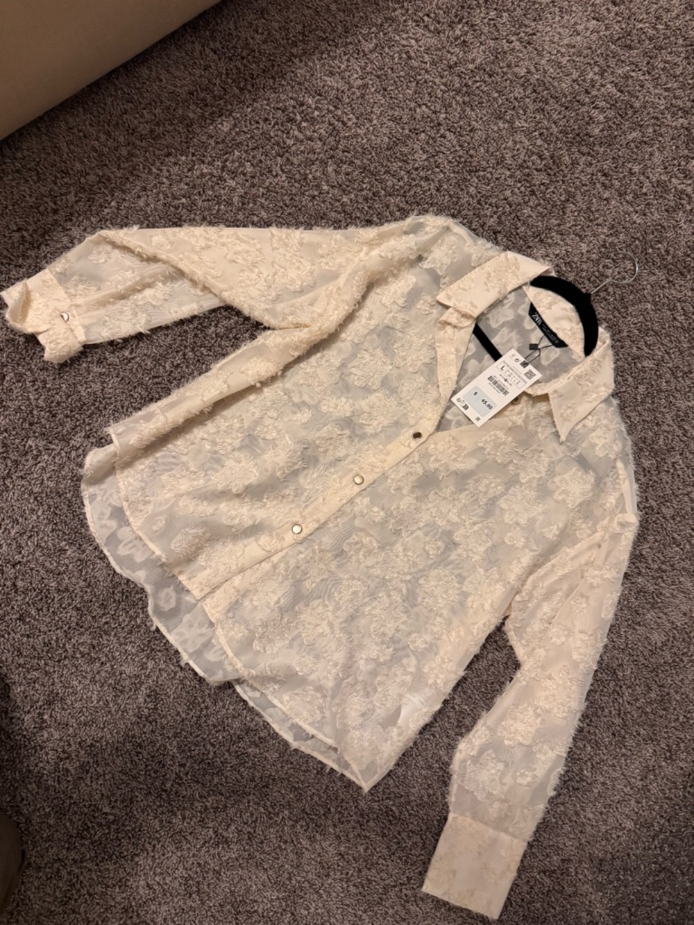 Zara Cream Lace Button-Up Blouse. WOT.
